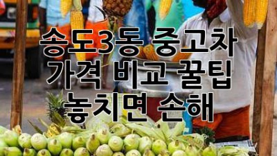 송도3동 중고차 가격 비교 꿀팁! 놓치면 손해 💸