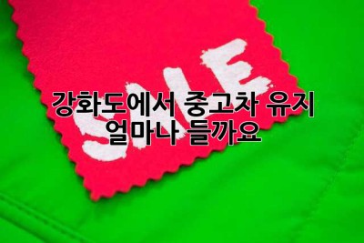 강화도에서 중고차 유지, 얼마나 들까요?