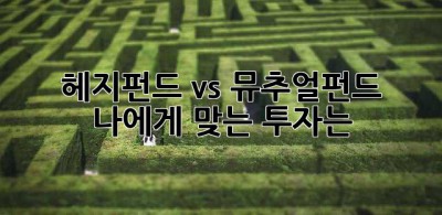 헤지펀드 vs 뮤추얼펀드: 나에게 맞는 투자는?