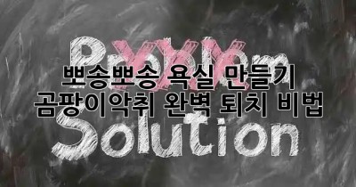 🛁 뽀송뽀송 욕실 만들기! 곰팡이&악취 완벽 퇴치 비법 🚽