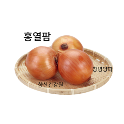 📢 당뇨에도 괜찮을까? 꿀팁 가득 배도라지즙 후기🍯+ 할인정보!
