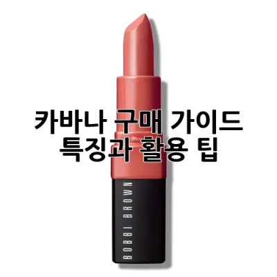 카바나 구매 가이드: 특징과 활용 팁